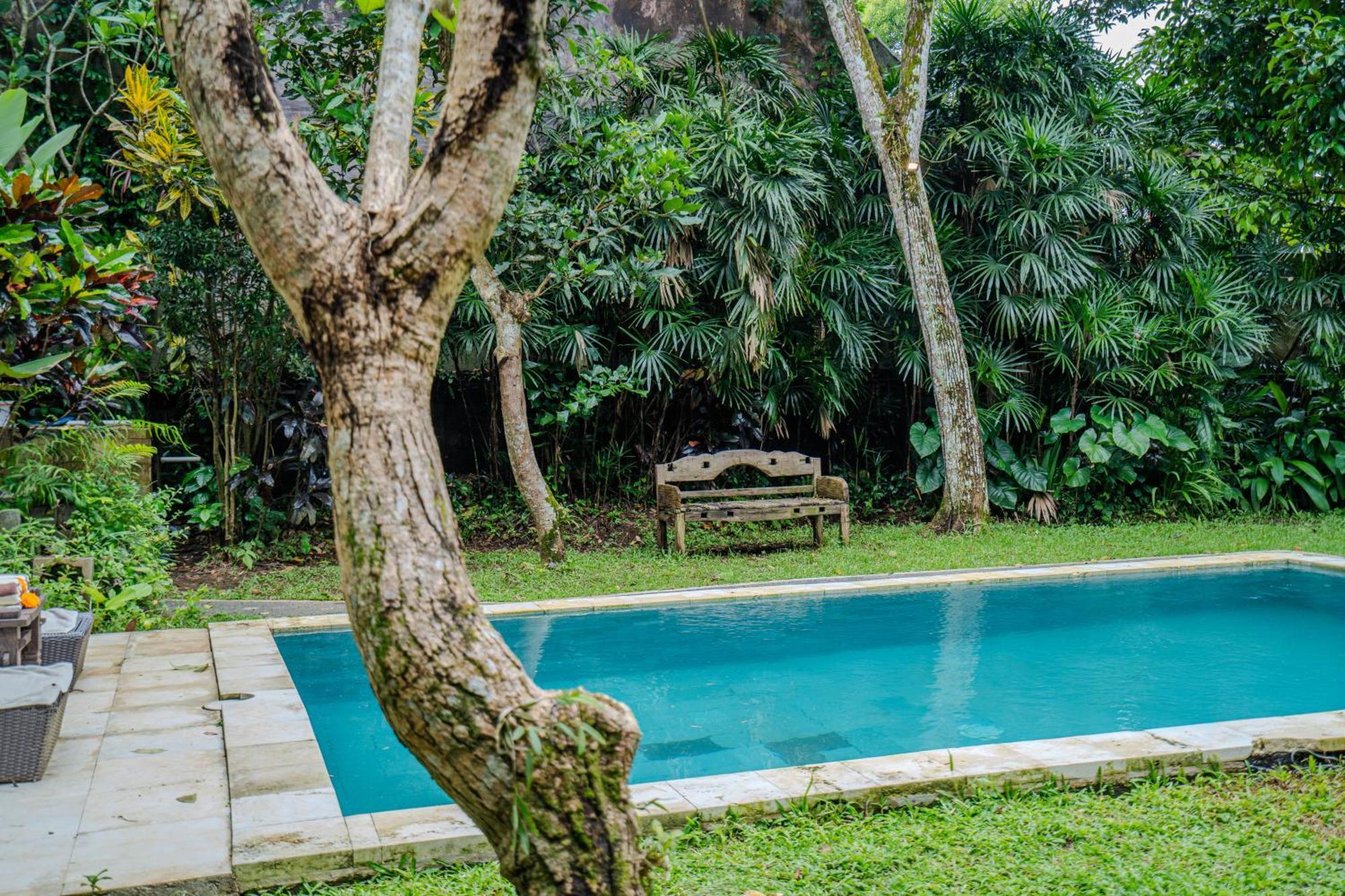 Ruben Villa Ubud - 4 Bedrooms Jungle Home Exterior photo